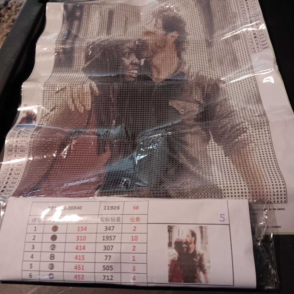The Walking Dead Rick And Michonne Diamond Paint Kit 30x40
